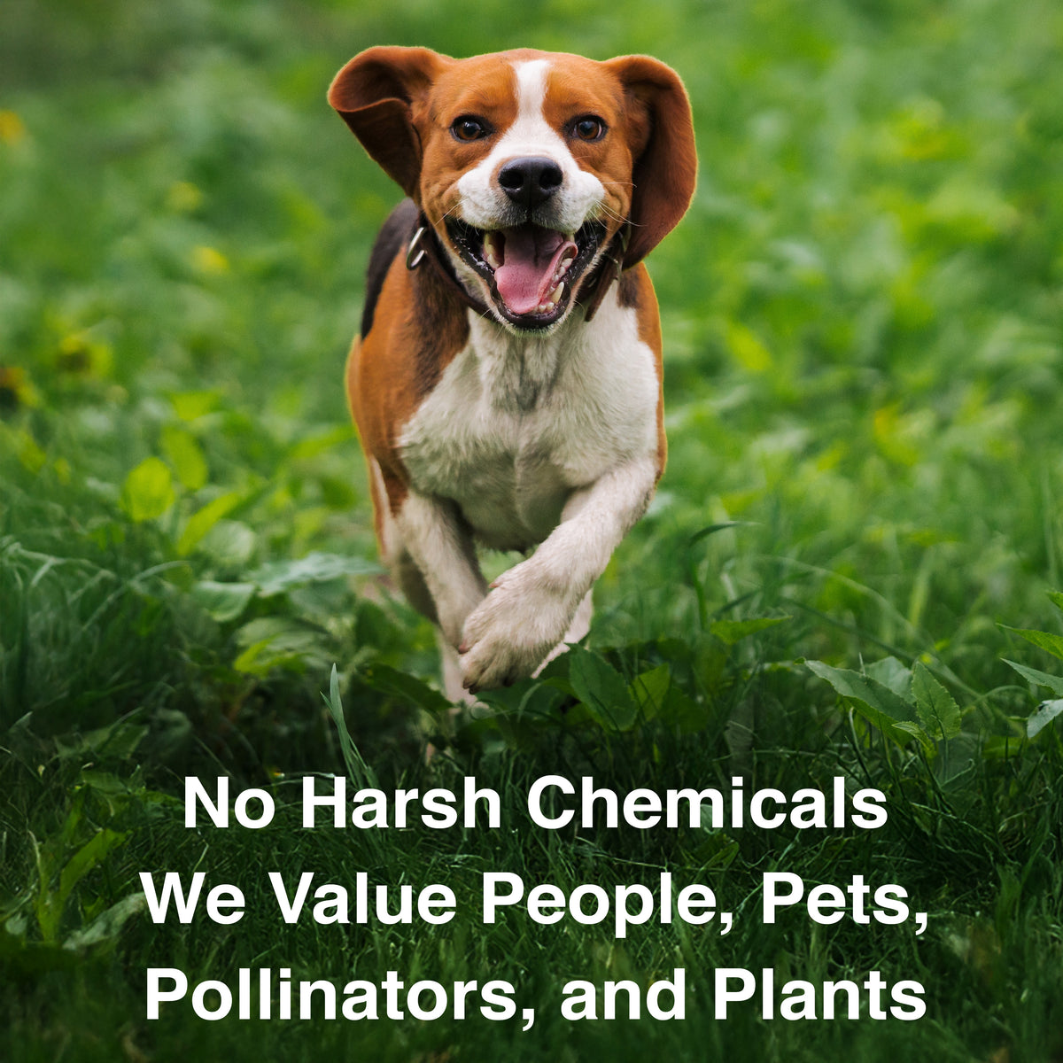 NatureShield® Insect &amp; Pest Repellent