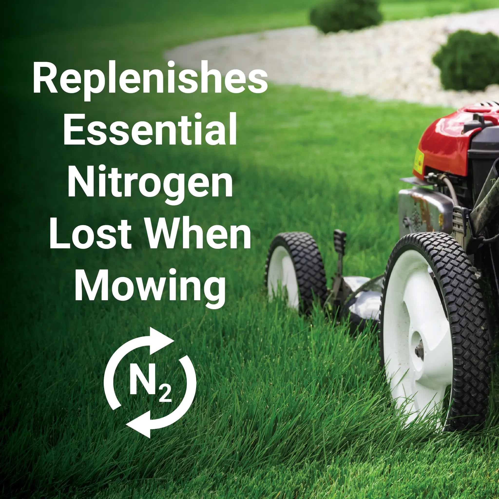 GrassSoGreen® Maintenance Fertilizer 19-0-0