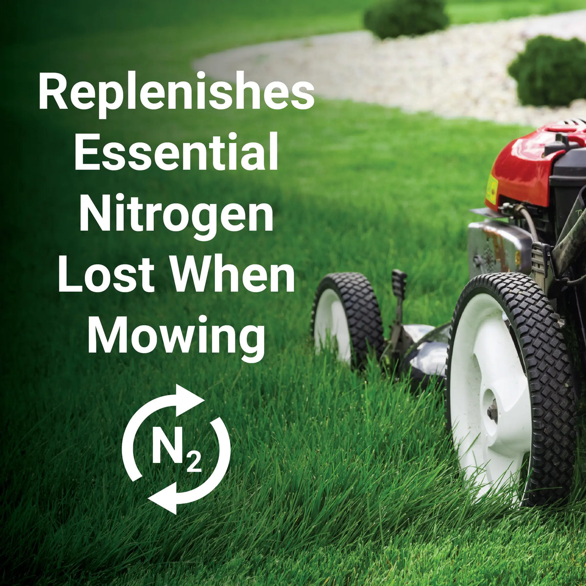 GrassSoGreen® Maintenance Fertilizer 19-0-0