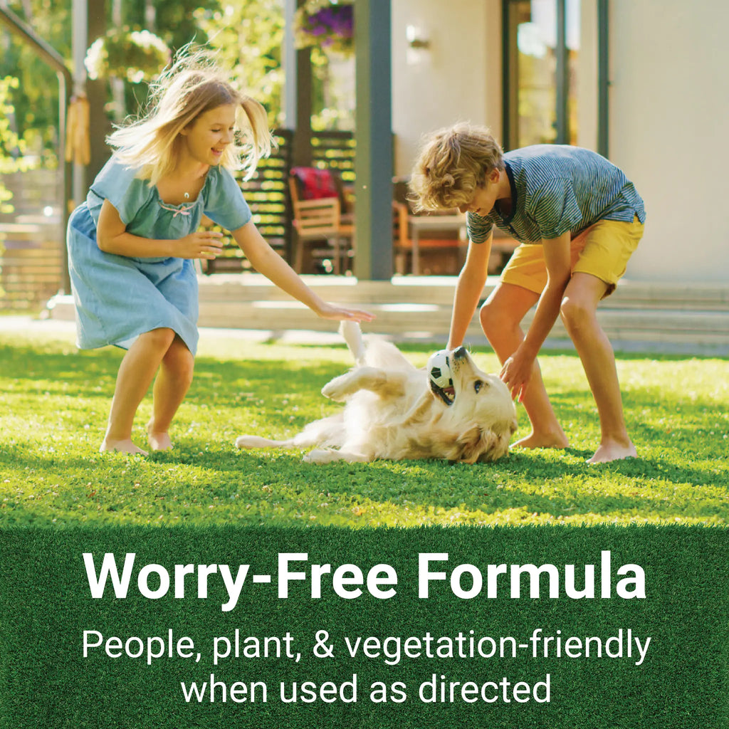 GrassSoGreen® Maintenance Fertilizer 19-0-0