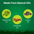 NatureShield Insect & Pest Repellent